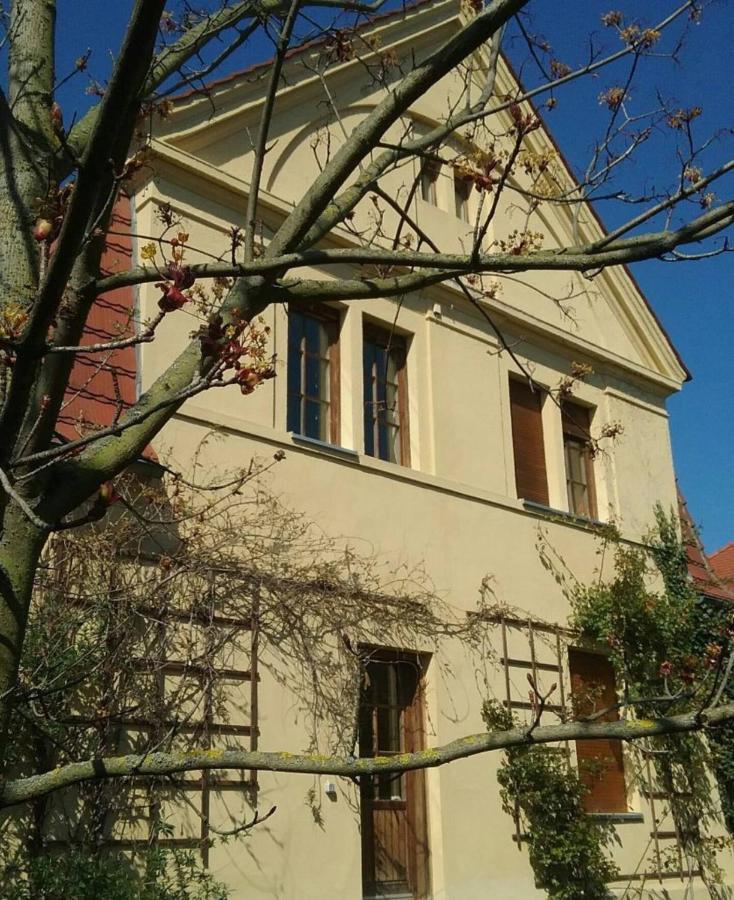Haus Schmeile Magdeburg Eksteriør billede